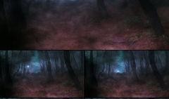 暗黑爆料视频素材网站,揭秘热门视频素材网站幕后真相